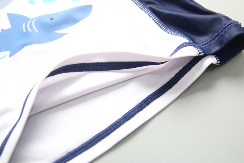 Boy's Swimsuit Long Sleeves Children's Rash Guard Swimming Trunks UPF50 UV Protection Boys Swimwear Dinosaur Bathing Suit Kids